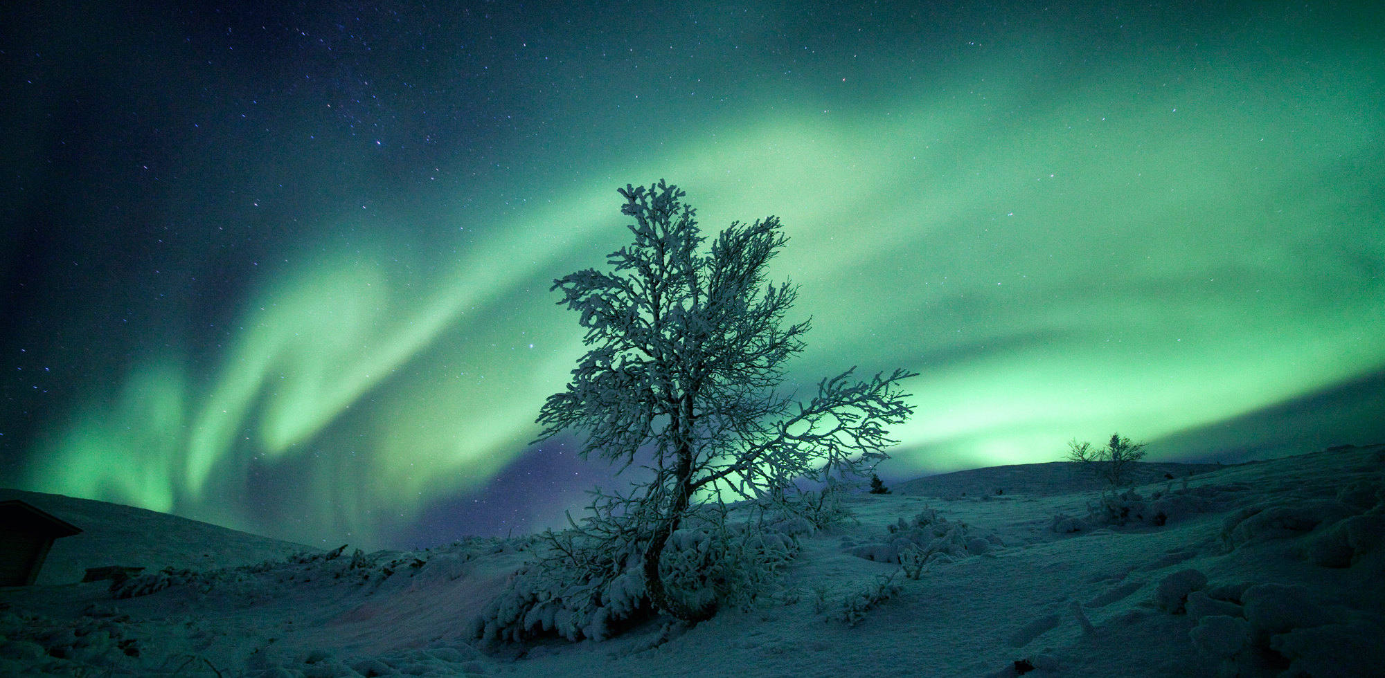 Hundreds of Stories. Only one Arctic.