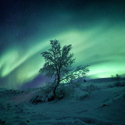 experience_1_colorsofarcticsky_2000_thumb.jpg