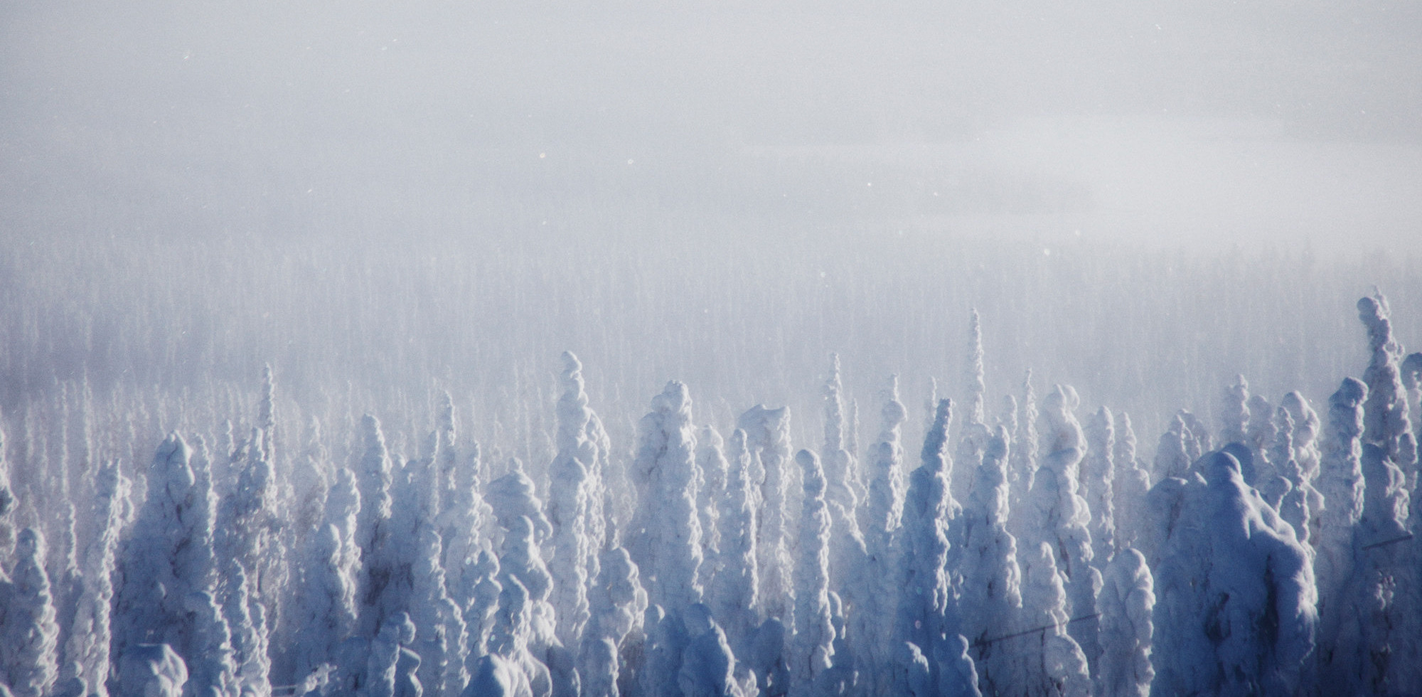 The sound of Arctic Silence.